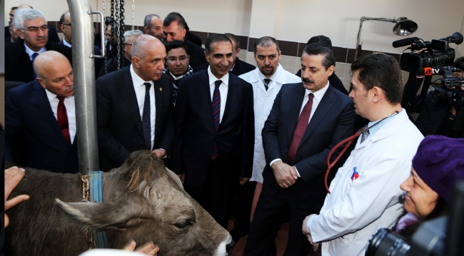 Bakan Çelik'ten hayvancılıkla uğraşanlara müjde